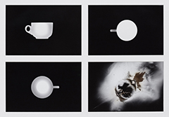 Exploding Teacup Photograms 1988/1989