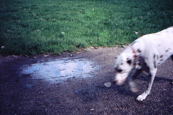 Miscellaneous photos
